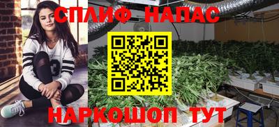 трава Малгобек