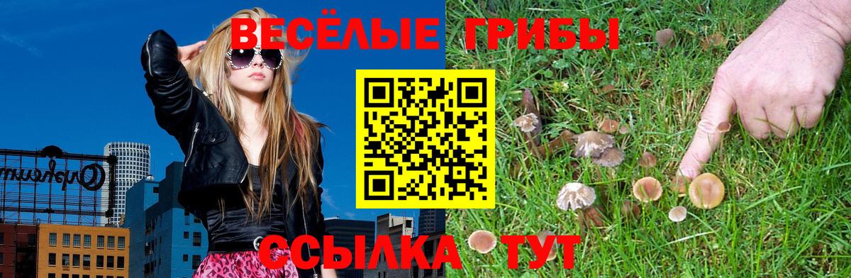 Галлюциногенные грибы ЛСД  Вход с VPN  Фролово  Псилоцибиновые грибы MAGIC MUSHROOMS 